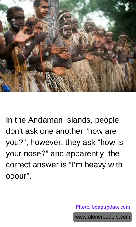 In the Andaman Islands, people don't ask one another “how are you?”, however, they ask “how is your nose?” and apparently, the correct answer is “I’m heavy with odour”.