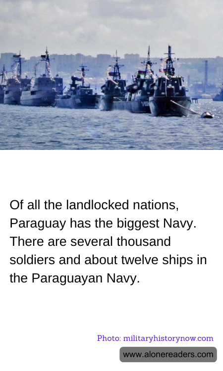 General Knowledge Learning Cards