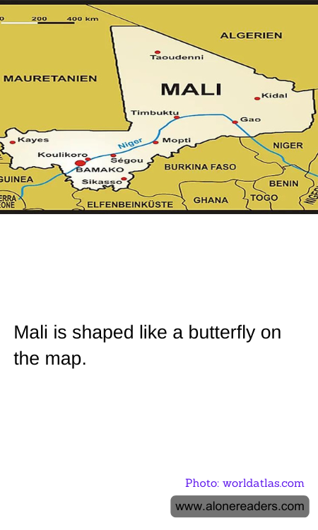 General Knowledge Learning Cards