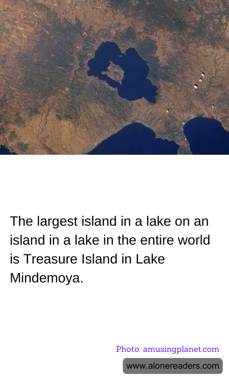 General Knowledge Learning Cards