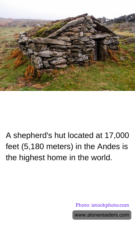 A shepherd's hut located at 17,000 feet (5,180 meters) in the Andes is the highest home in the world.