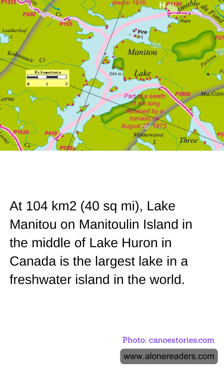 General Knowledge Learning Cards