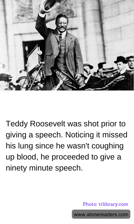 General Knowledge Learning Cards