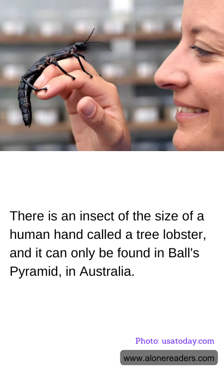 General Knowledge Learning Cards