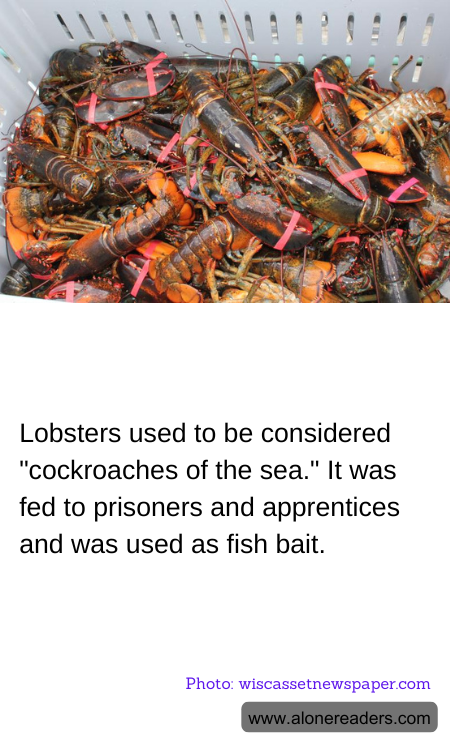 General Knowledge Learning Cards