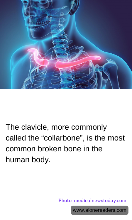 General Knowledge Learning Cards