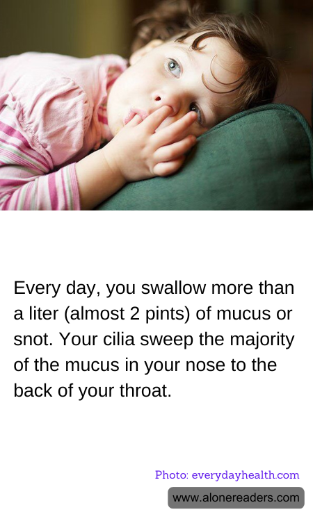 General Knowledge Learning Cards