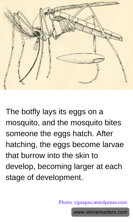 General Knowledge Learning Cards