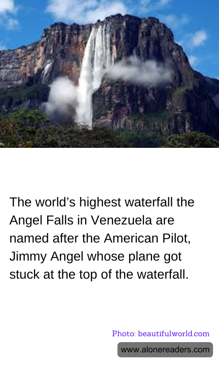 General Knowledge Learning Cards