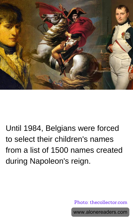 General Knowledge Learning Cards