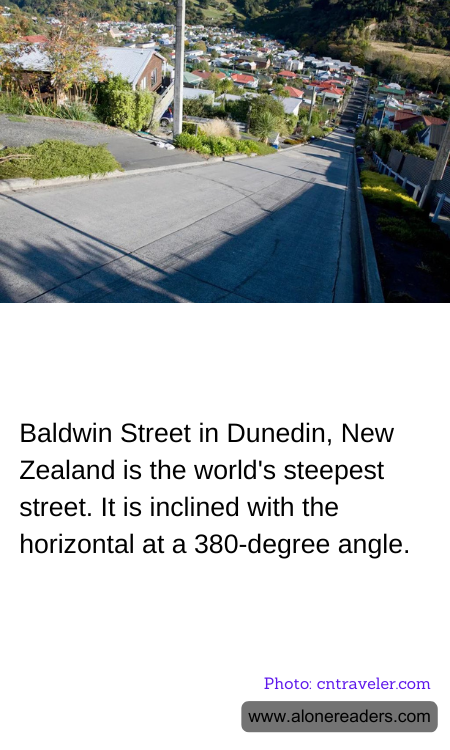 General Knowledge Learning Cards