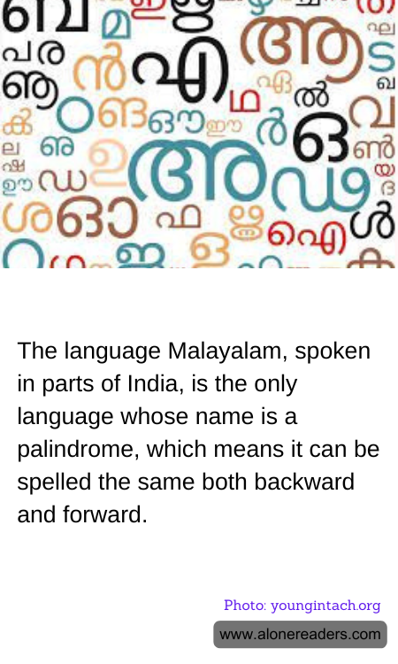 The language Malayalam, spoken in parts of India, is the only language whose name is a palindrome, which means it can be spelled the same both backward and forward.