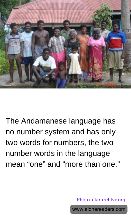 The Andamanese language has no number system and has only two words for numbers, the two number words in the language mean “one” and “more than one.”