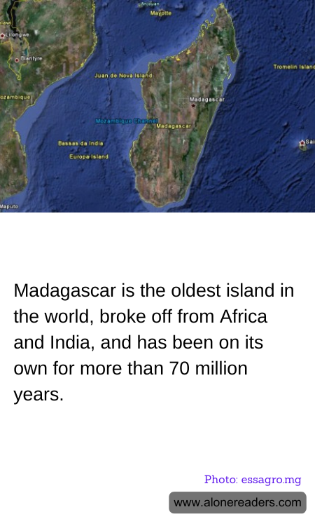 General Knowledge Learning Cards