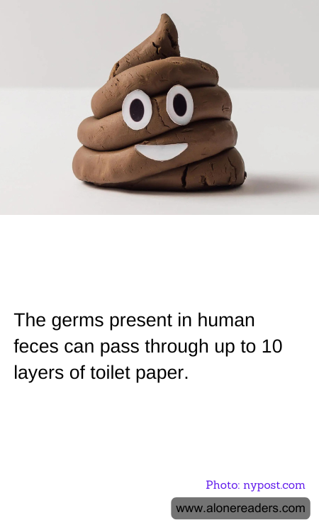 General Knowledge Learning Cards