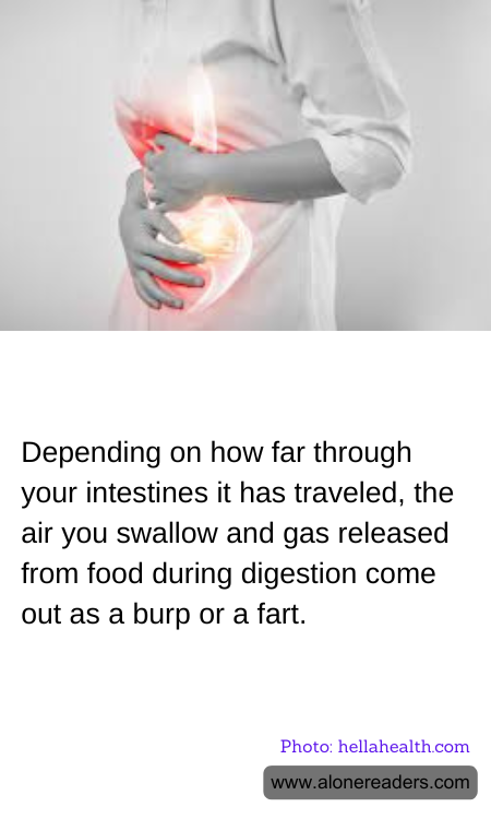 General Knowledge Learning Cards