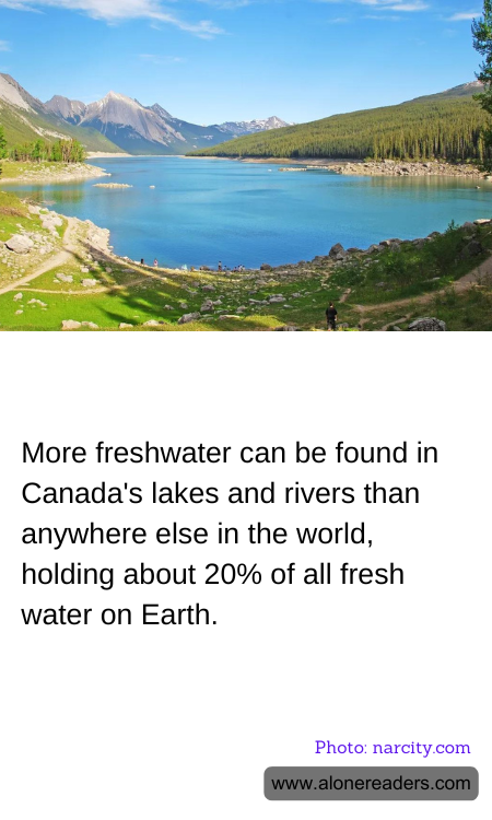 General Knowledge Learning Cards