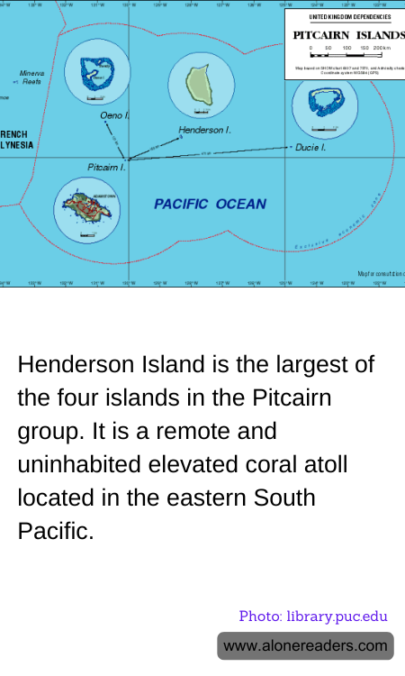 General Knowledge Learning Cards