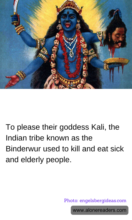 General Knowledge Learning Cards