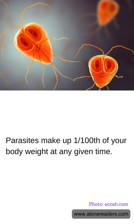 General Knowledge Learning Cards