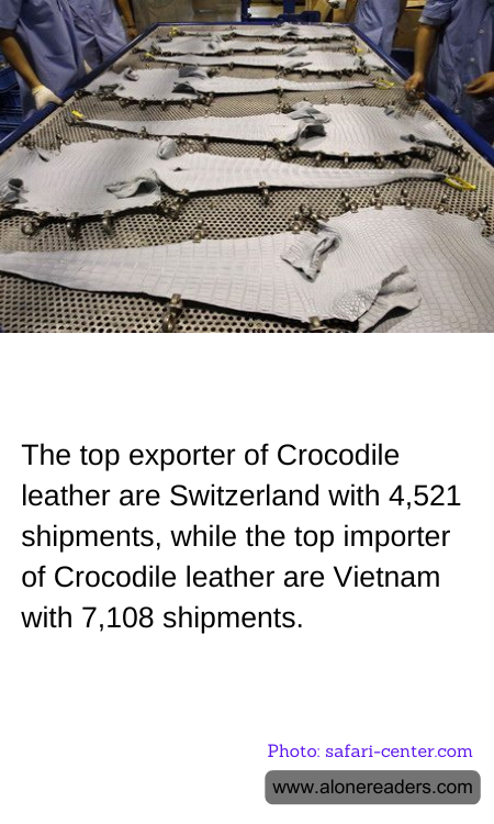 General Knowledge Learning Cards