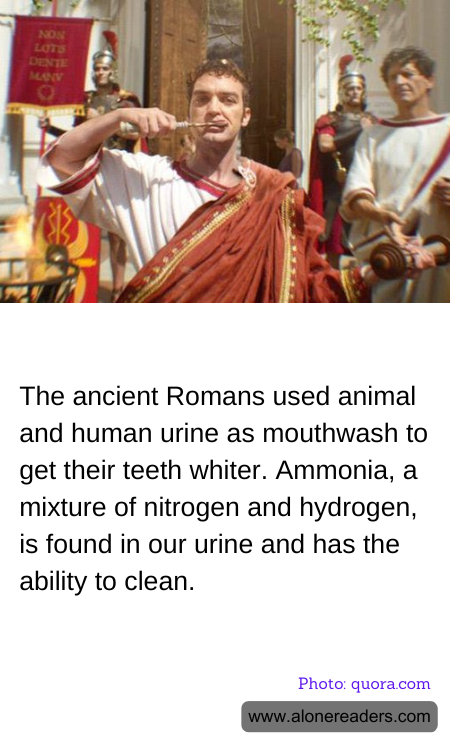 General Knowledge Learning Cards