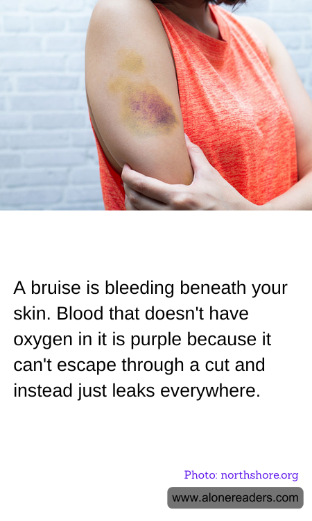 General Knowledge Learning Cards