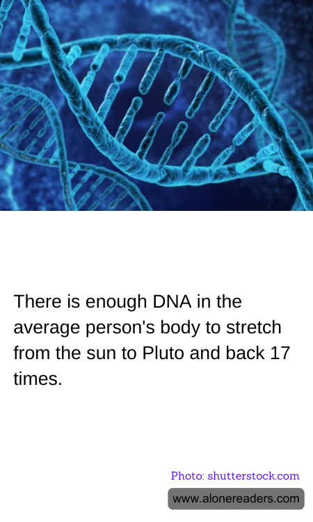 General Knowledge Learning Cards