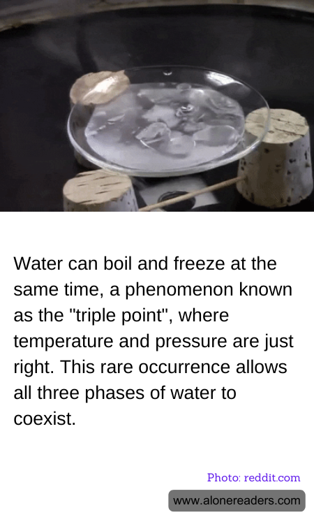 General Knowledge Learning Cards