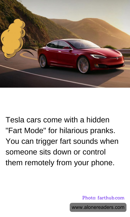 Tesla cars come with a hidden "Fart Mode" for hilarious pranks. You can trigger fart sounds when someone sits down or control them remotely from your phone.