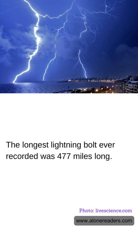 General Knowledge Learning Cards