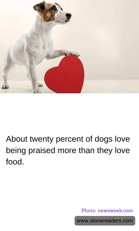 General Knowledge Learning Cards