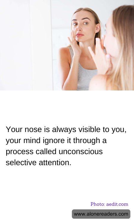 General Knowledge Learning Cards