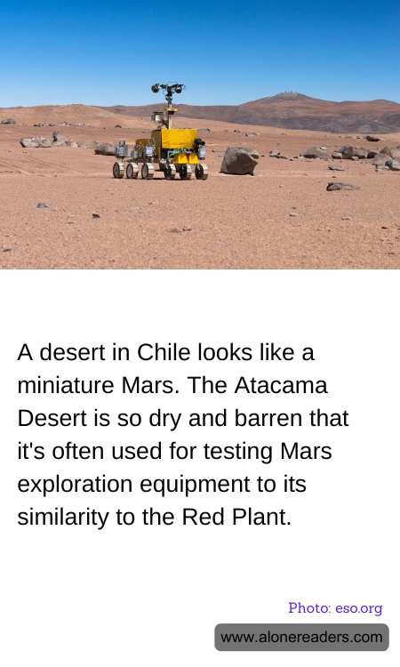 General Knowledge Learning Cards