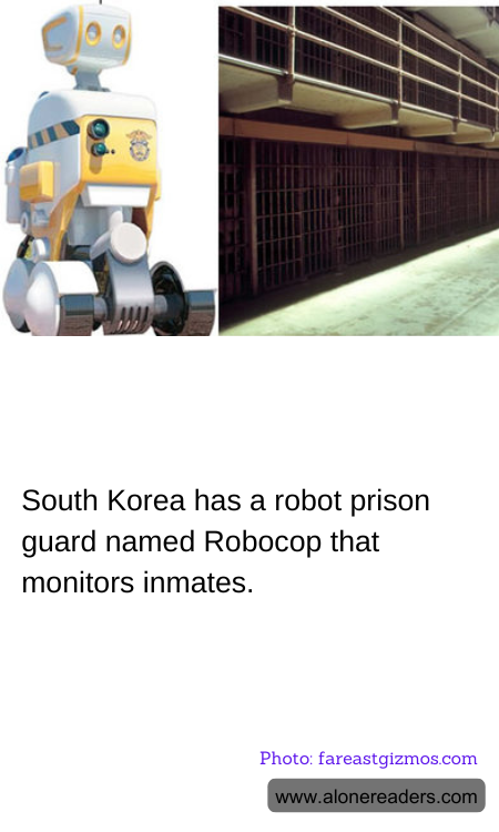 South Korea has a robot prison guard named Robocop that monitors inmates.