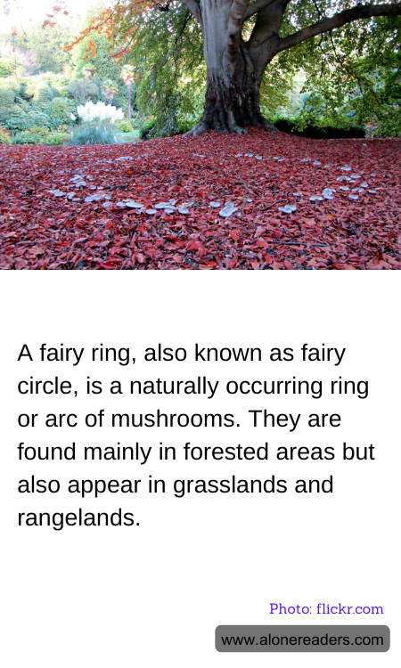 General Knowledge Learning Cards