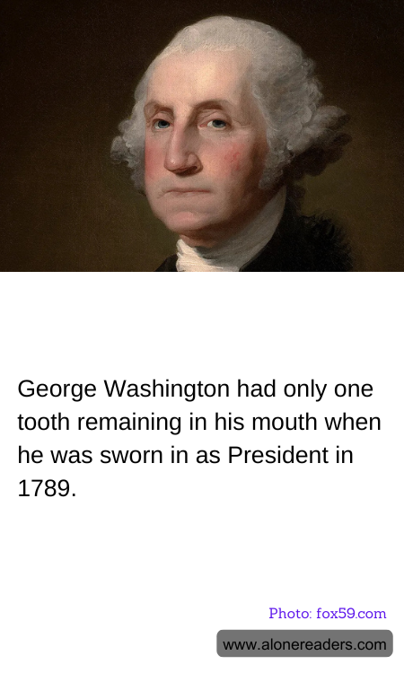 General Knowledge Learning Cards