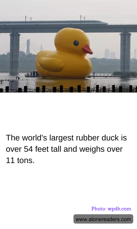 General Knowledge Learning Cards