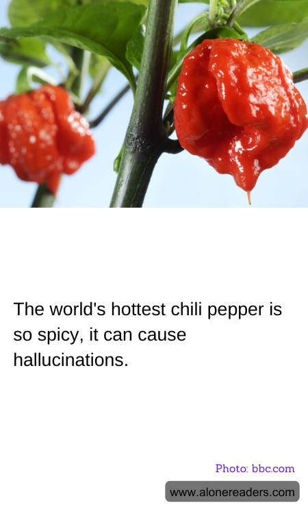 General Knowledge Learning Cards