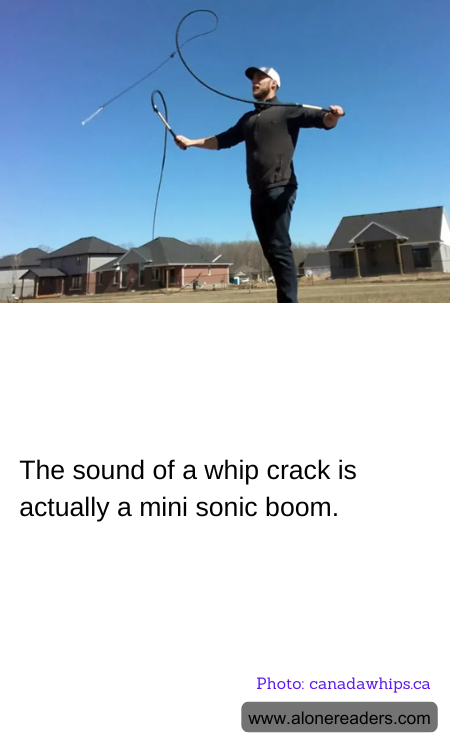 General Knowledge Learning Cards