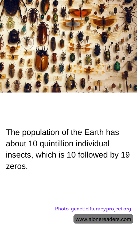 General Knowledge Learning Cards