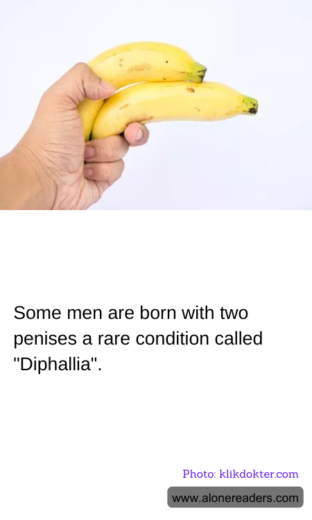 General Knowledge Learning Cards