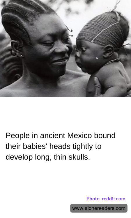 General Knowledge Learning Cards