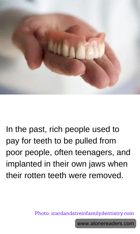 General Knowledge Learning Cards