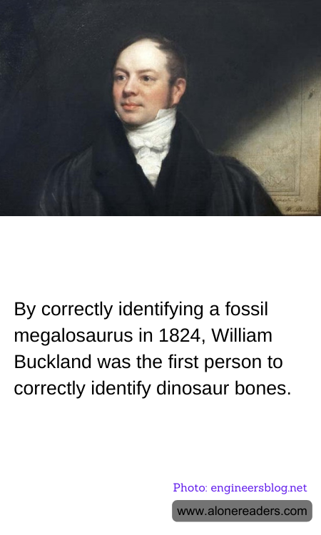 By correctly identifying a fossil megalosaurus in 1824, William Buckland was the first person to correctly identify dinosaur bones.