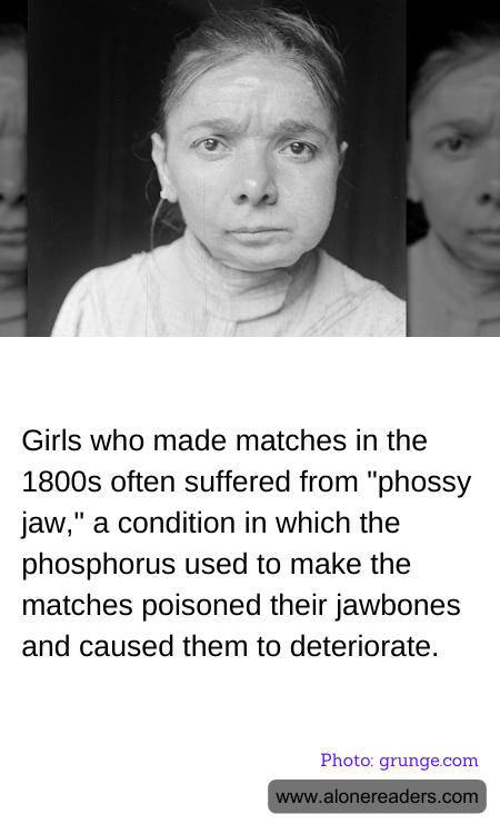 General Knowledge Learning Cards