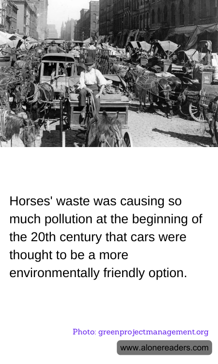 General Knowledge Learning Cards