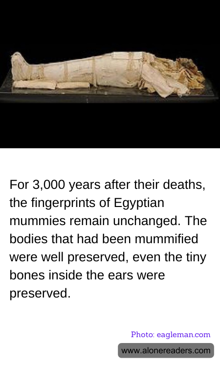For 3,000 years after their deaths, the fingerprints of Egyptian mummies remain unchanged. The bodies that had been mummified were well preserved, even the tiny bones inside the ears were preserved.