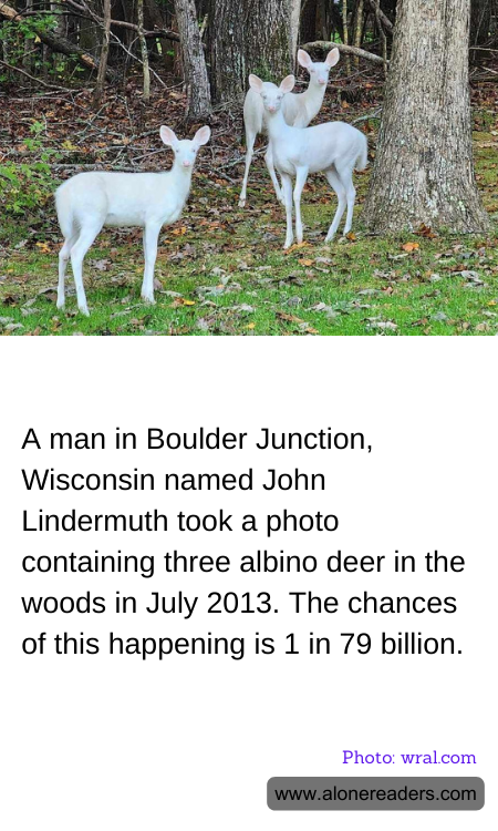 General Knowledge Learning Cards