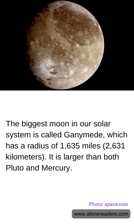 General Knowledge Learning Cards